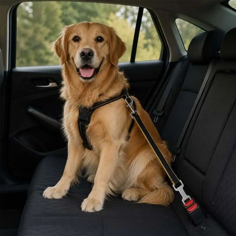 Attache Ceinture Spéciale Laisse pour Chien - Sécurité Voiture 45-65 cm (1/3)