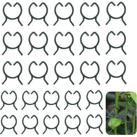 Clips Plantes 200 pièces Clips de Plantes de Jardin Clips de Vigne de Fleur de Tomate Clips à Plantes en Plastique pour Jardin Vigne Légumes Tomates Fixer Les Plantes Grimpantes Deux Tailles (1/3)