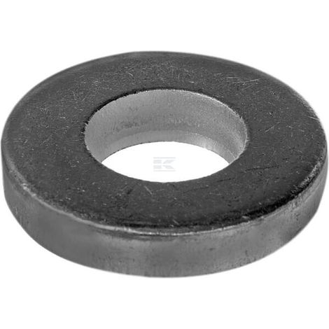 Arandela LELY E100072