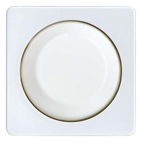 ELSO 207014 ZENTRALPLATTE M.DREHKN.DIMMEREINS.FAS RW
