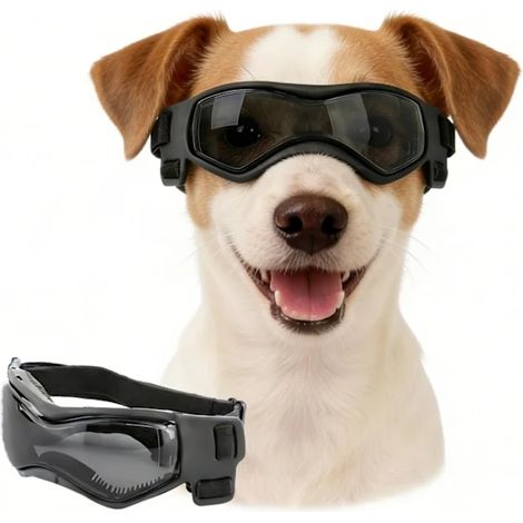 Lunettes pour chien, faciles à porter, élégantes et esthétiques, adaptées aux chiens de petite et moyenne taille. (1/4)