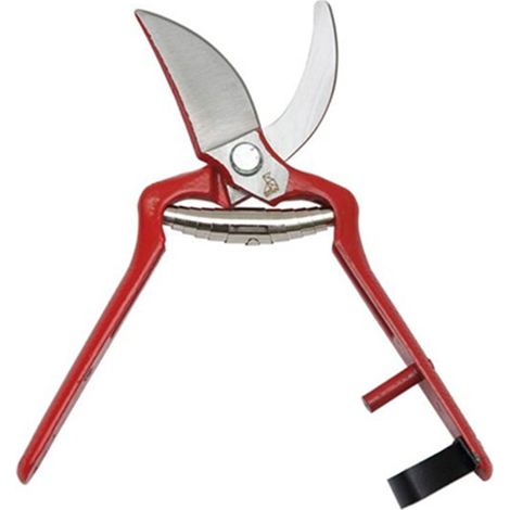 Ciseaux de taille pour vendanges 18cm 1025-18 cm-f noeud papillon