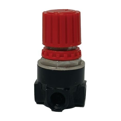 REGOLATORE PRESSIONE COMPRESSORE COASSIAL WORKIT - LUBRIFICATO LT 24 50 HP 2,0