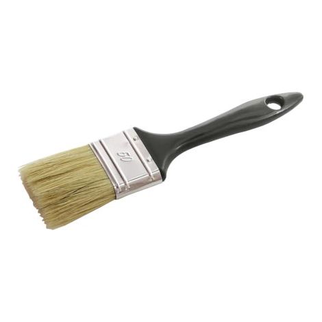 Brosse Plate Universelle 20 L'Outil Parfait