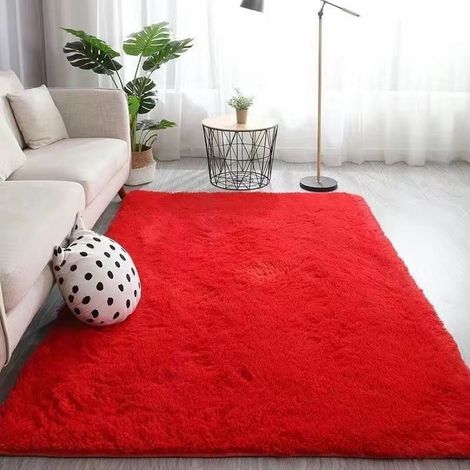 Tapis Microfibre - Lavable En Machine - Pour Salon Chambre À Coucher Couloir Chambre Étudiante Cuisine Intérieur - 45 x 30 x 2 cm - 1 Pièce (1/5)