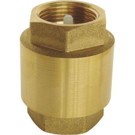 Clapet anti-retour universel 3/4 pouce à double filetage femelle (Laiton et plastique) — Compatible avec une installation dans toutes les orientations Pression maximale : 12 bars. (1/3)