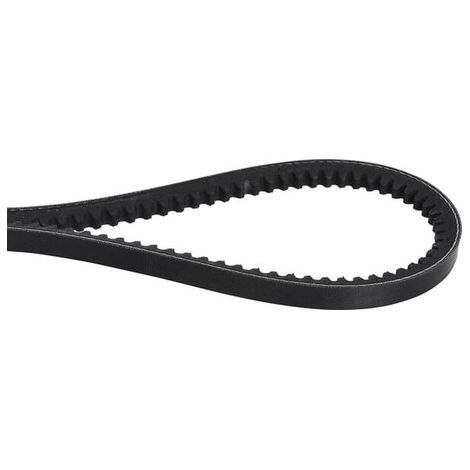 Courroie OPTIBELT AVX10813