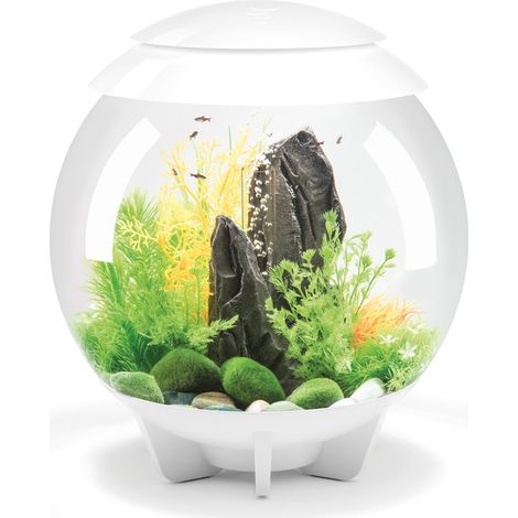 acquario decorativo 30l bianco - HALO 30 MCR WHITE - Oase