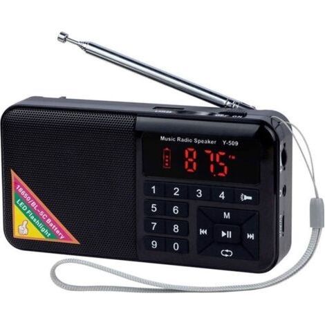 Mini Radio Portable FM USB Micro-SD et Lecteur Mp3 intégré avec LED Lampe, Poste de Radio Rechargeable de 1500mAh (Noir)