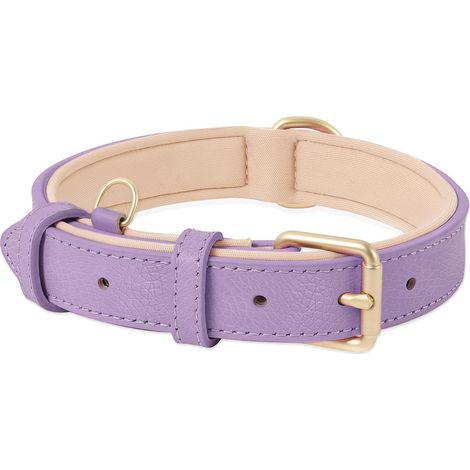 Collier pour Chien, en Cuir, Collier de Chien Ajustable Coussin Moelleux Cuir Nouvelle Couleur de Rembourrage pour Petits, Moyens ou Grands Chiens, Lavande, M (1/5)
