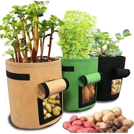 Sacs de plantation pour pommes de terre, tomates et autres légumes, tissu polaire respirant, jardinière avec rabat, fermeture velcro et poignée, 3 pièces, jardin,37L (1/4)