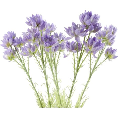 Pack of 6 x 60cm Purple Starflower Stem - 30 Flowers (1/5)