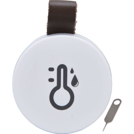 Moniteur électronique de température et d'humidité, Bluetooth 5.0, Mini thermomètre et hygromètre sans fil pour serre