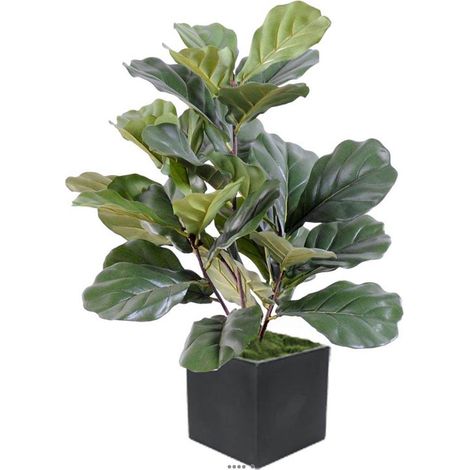 Ficus Lyrata buisson factice tronc PE en pot chic, original H60cm Vert - dimhaut: H 60 cm - couleur: Vert