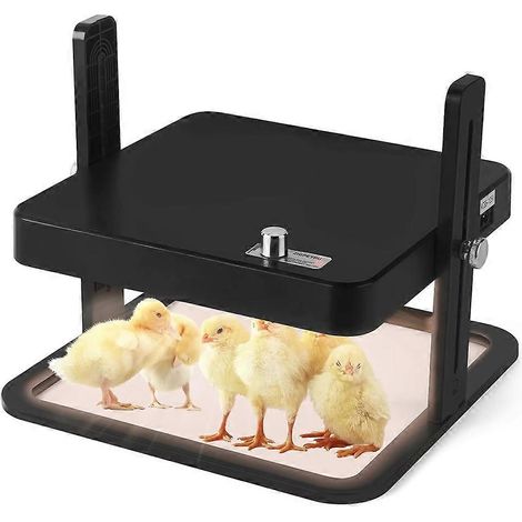 Petit kiosque d'élevage avec plaque chauffante pour animaux, contrôle de température intelligent et prise UE. Chauffage intelligent pour poulets. (1/5)