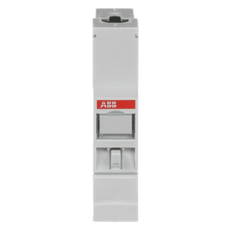 Busch-Jaeger Módulo de conexión IP (IPM/S 1.1), 2CDG120036R0011