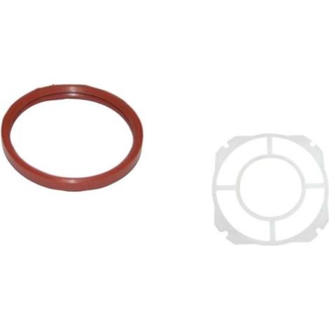 Kit 10 guarnizioni D.100  - Immergas