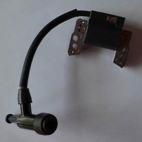 Die universelle Zündspule Modell 816464/590818 eignet sich für die elektronische Zündung verschiedener kleiner Benzinmotoren. (1/3)