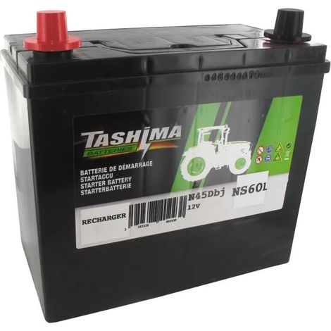 Batterie Tondeuse 12v 45ah Sans Entretien, Démarrage Puissant Pour Tondeuse Autoportée. - Générique