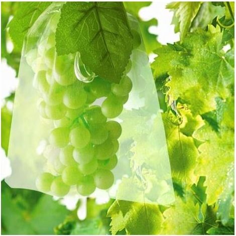 100pcs Sac Protection Fruits Sacs Filets Protection des Grappes de Raisins Contre Les Oiseaux et Insectes Gupes Frelons 30 x 20 cm
