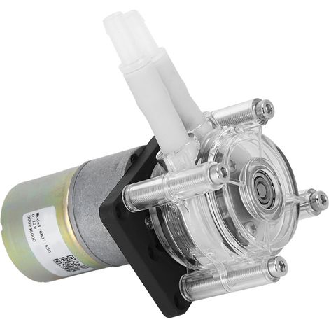 Pompe péristaltique auto-amorçante, châssis en acier inoxydable, tête transparente en PC, moteur CC 12V (1/5)
