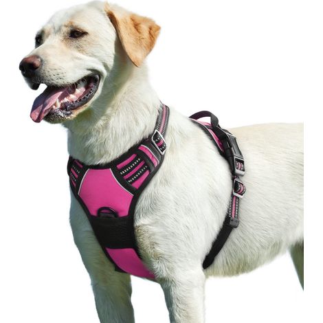 Harnais pour chien réglable anti-traction avec poignée de contrôle et bandes réfléchissantes pour promenades confortables et sécurisées