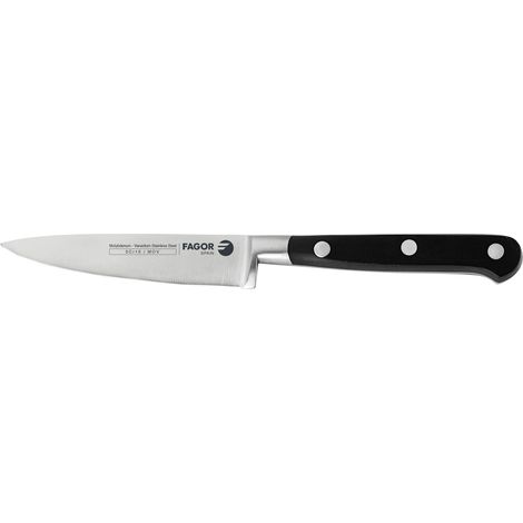 FAGOR Couper Couteau de Cuisine Professional à Éplucher 10 cm Lame en Acier Inoxydable (1/4)