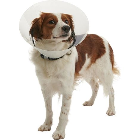 Kruse transparent Isabelto Halskette Buster Klick, 25 cm, Hunde 25 bis 30 kg, 10 Einheiten