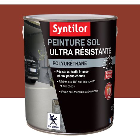 Peinture Sol Ultra Résistante Syntilor 2,5L Brique (1/4)