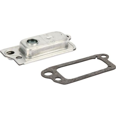 Reniflard BRIGGS ET STRATTON 590395