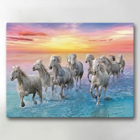 Toile / Peinture - Cheval - 40x30 cm - Toile (1/5)