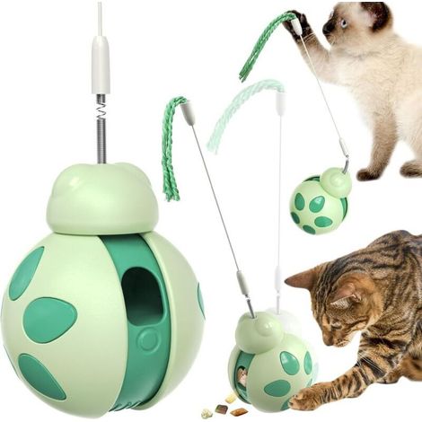 Jouet interactif pour chat, puzzle d'intérieur, alimentation lente, stimulation mentale, balle coulissante et roulante avec jouet pour chat (vert, coccinelle) (1/4)
