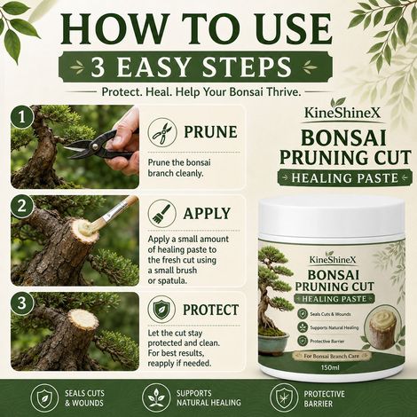 KineShineX Bonsai Pruning Wound Healing Paste protects and seals cut surfaces to prevent cracking and promote healing. (1/4)