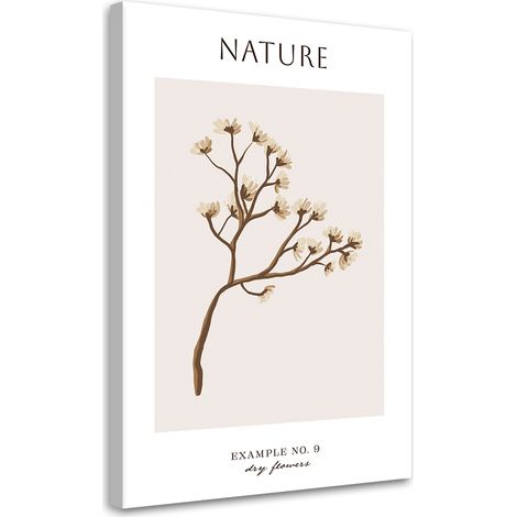 Tableau sur toile Fleur sèche - Nature 60x90 (1/5)