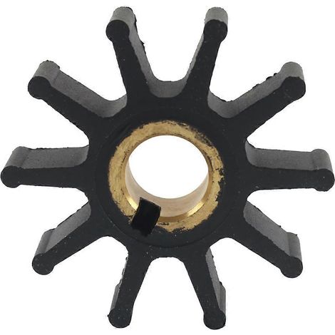 Turbine de pompe à eau 47-F462065 pour moteurs hors-bord Force 20, 25, 30 et 35 CV, référence 18-8901 500335, pièces détachées pour moteurs hors-bord (1/5)