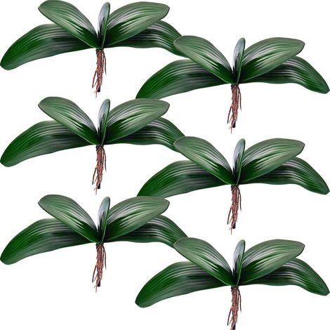 6 pièces fausses orchidées Phalaenopsis feuilles orchidées feuilles pour arrangements de fleurs décor de Pot (1/5)