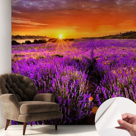 Tapete Selbstklebend - abwaschbar - trendige Wanddeko - elegant Fototapete Lavendelfarbener Sonnenuntergang 250x250 cm (1/5)