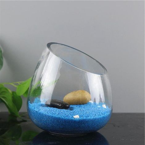 Bol En Verre À Coupe Oblique - Terrarium Pour Plantes Aériennes - Vase Fleurs Bonbons Fruits - Décoration Intérieure - 16,5 x 16,5 x 16 cm (1/5)