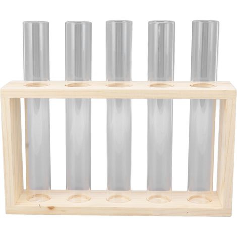 Terrarium à 5 tubes transparent pour observer la croissance des plantes, réservoir d'eau avec base en bois pour les plantes et leurs tiges. (1/5)