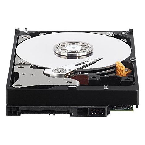 Hard Disk HD Sata 6 Gb/s 3.5" Western Digital Purple 3TB - WD30PURZ (1/5)