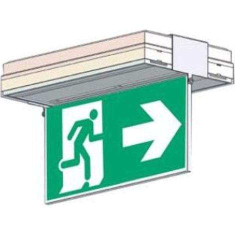 Porte sérigraphie saillie plafond double face flèche bas (1/2)
