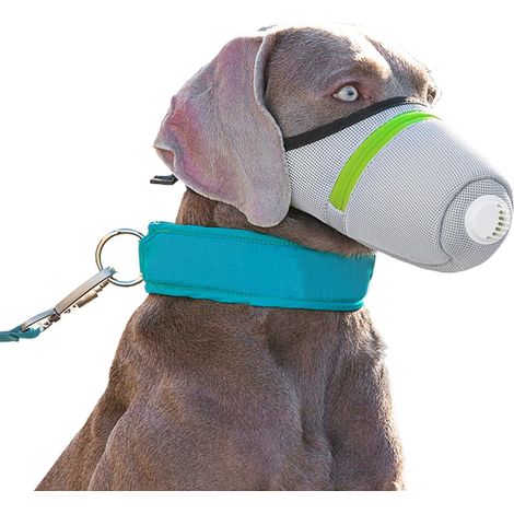 Muselière pour chiens de taille moyenne, respirante, (1/5)