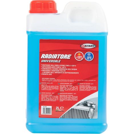 Liquido tergivetro effetto anticongelante -22grC 2L (1/4)