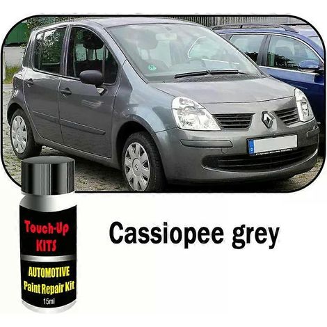 Kit de retouche peinture auto (2 pièces, avec pinceau) pour Renault Modus - Accessoires d'entretien et de réparation des rayures (1/4)