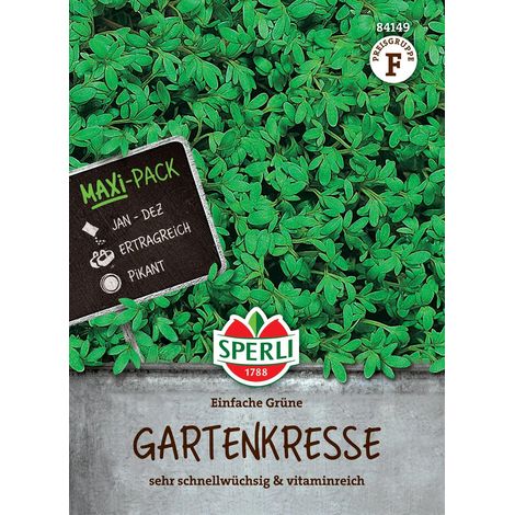 Sperli Gartenkresse Einfache Grüne MAXI-PACK 50 g - Kräutersamen (1/2)