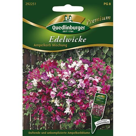 Quedlinburger Saatgut – Pois de senteur « Ampelkorb » en mélange – Graines de fleurs, port compact, 20-25 cm