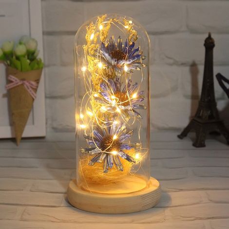 Micro Paysage Lumineux - Couverture En Verre Borosilicaté - Fleurs Artificielles Tournesol - Décoration Bureau Intérieur - 1 Pièce (1/2)