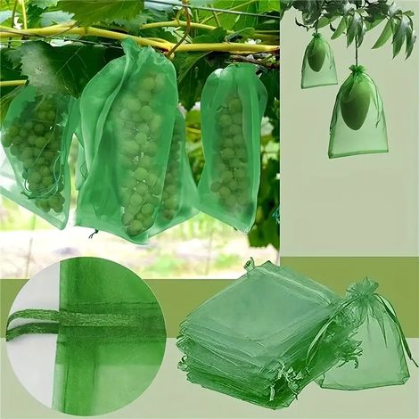 Sacs de protection pour fruits de jardin, 100 pièces, filet vert à cordon, housses anti-insectes pour raisin, barrière anti-nuisibles, couvre-fruits réutilisables (1/5)