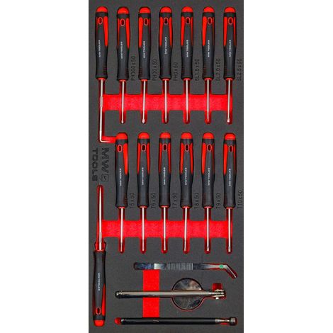 Mw Tools – Jeu de tournevis de précision 17 pièces – 3 PH, 3 Plat, 6 Torx – Module en mousse pour servante d'atelier – MWSC17MI