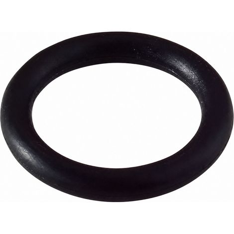Minisirius O-Ring-Packung Nr. 25 - 34.1x3.6 - 2 Stück